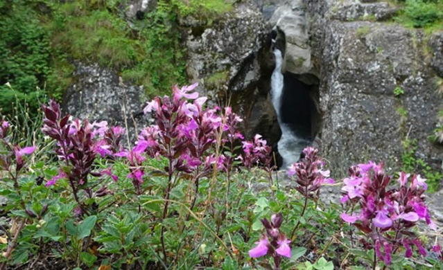 Kazankaya Şelalesi'nin turizme kazandırılması bekleniyor 1