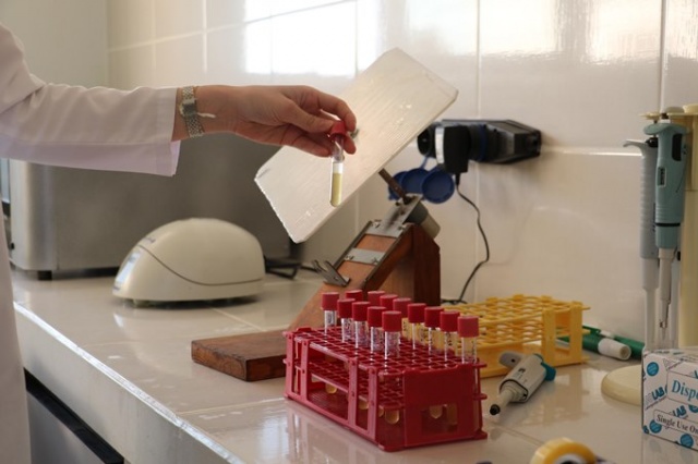 Türk bilim insanlarından büyük keşif 4