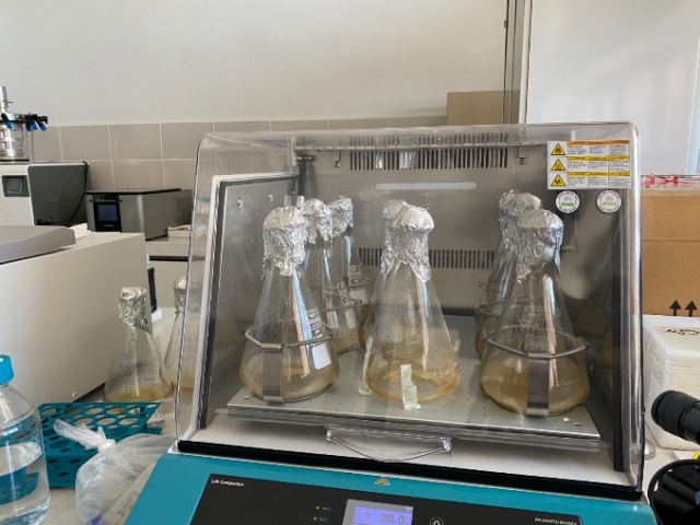 Türk bilim insanlarından büyük keşif 7