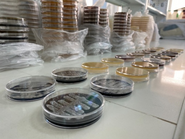 Türk bilim insanlarından büyük keşif 8