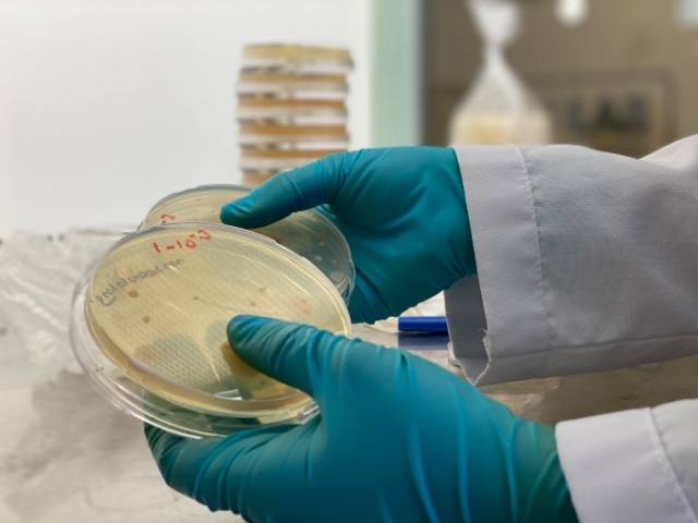 Türk bilim insanlarından büyük keşif 13