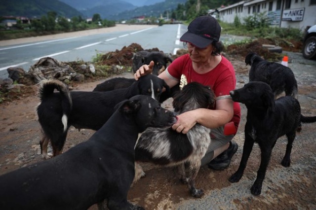 Artvin'de selin bilançosu: 'Hiçbir şeyimiz kalmadı' 4