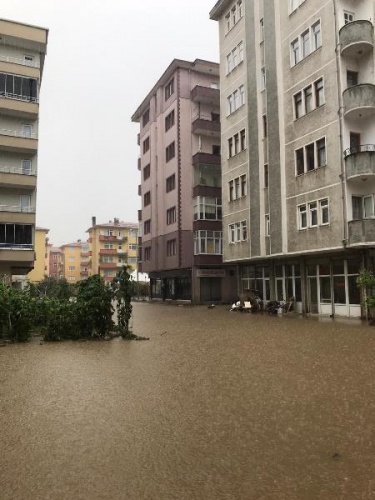Arhavi'de sağanağın ardından iki mahalleyi su bastı 21