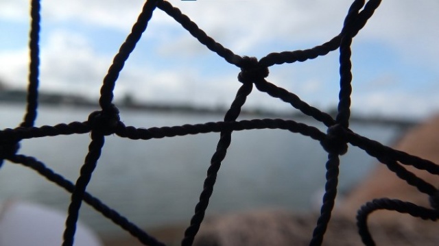 Karadenizli balıkçılar av yasaklarının kalkmasını bekliyor 7