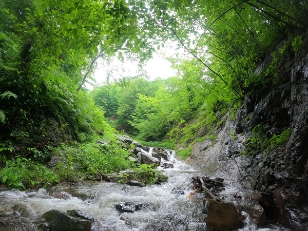 Trabzon'da sel ve heyelanlara 'Moloz bariyeri' önlemi 19