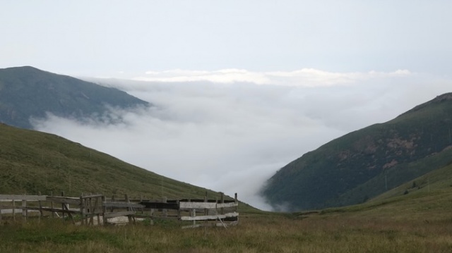 Karadeniz'de vakalar artınca aşı çadırları yaylaya taşındı. 2