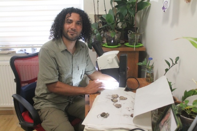 Doğu Karadeniz'de keşfedilen bitkiye Aziz Sancar'ın adı verildi 11