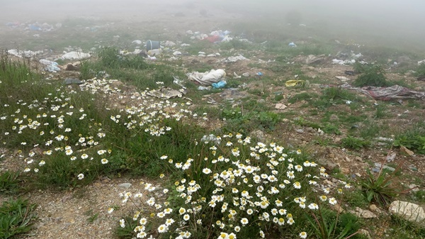 Doğa harikası Taşköprü Yaylası çöplüğe döndü 12