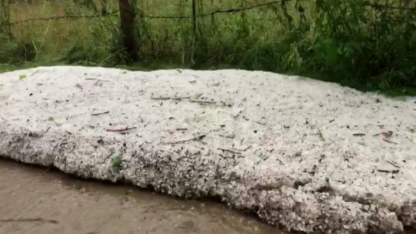Artvin'de hortum ve fırtınanın hasarı gün ağarınca ortaya çıktı 11