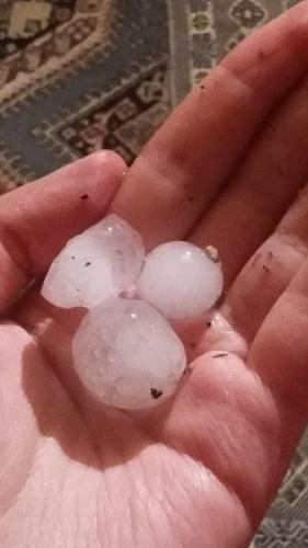 Artvin'de hortum ve fırtınanın hasarı gün ağarınca ortaya çıktı 2