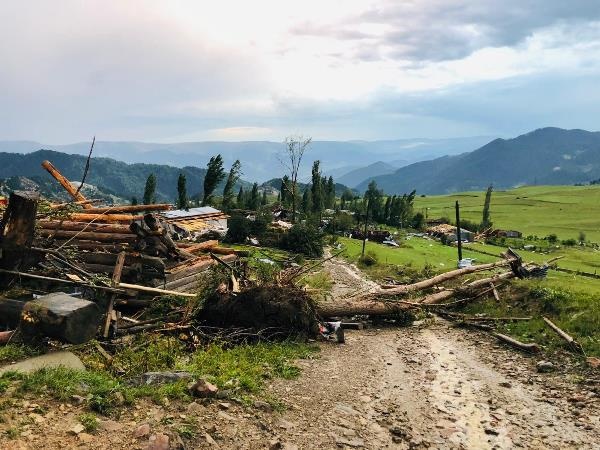 Artvin'de hortum ve fırtınanın hasarı gün ağarınca ortaya çıktı 5