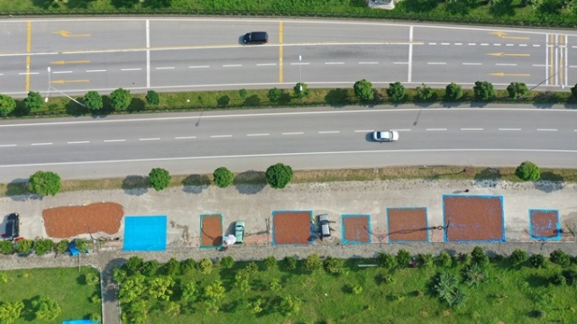 Hasat edilen fındıklar Karadeniz Sahil Yolu kenarına serildi. 7