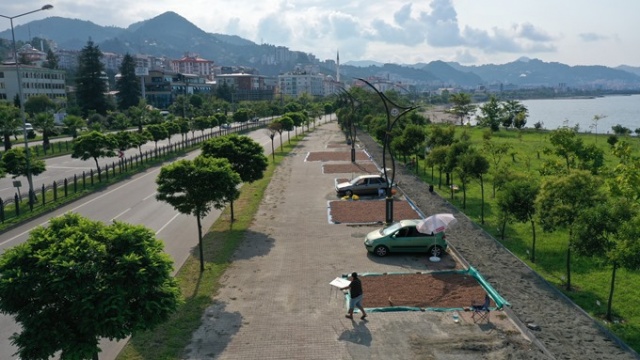 Hasat edilen fındıklar Karadeniz Sahil Yolu kenarına serildi. 6