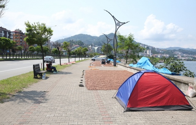 Hasat edilen fındıklar Karadeniz Sahil Yolu kenarına serildi. 17