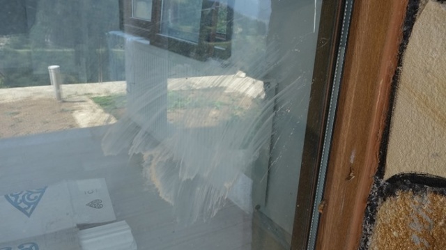 Trabzon'da evine dadanan bozayı Profesörün başına bela oldu 10