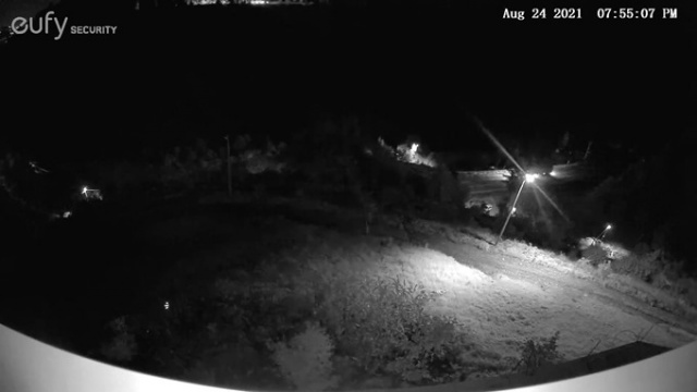 Trabzon'da evine dadanan bozayı Profesörün başına bela oldu 6