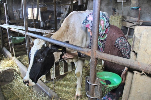 Trabzonlu Halime nine gençlere taş çıkartıyor 6