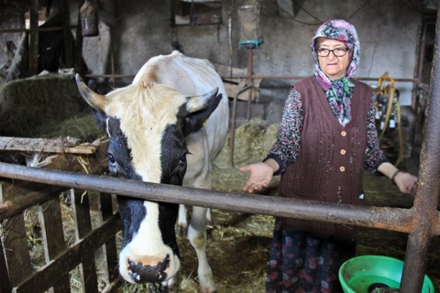 Trabzonlu Halime nine gençlere taş çıkartıyor 4