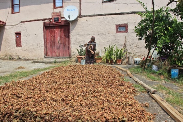 Trabzonlu Halime nine gençlere taş çıkartıyor 9