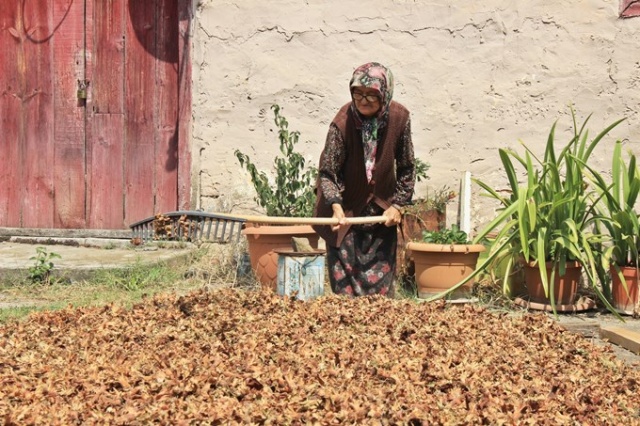 Trabzonlu Halime nine gençlere taş çıkartıyor 12