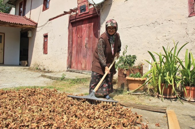 Trabzonlu Halime nine gençlere taş çıkartıyor 7