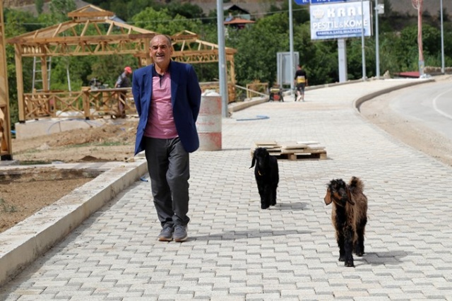 O nereye yavru keçileri oraya 6