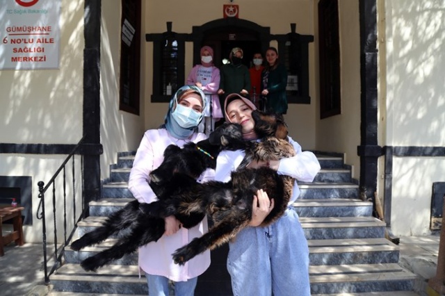 O nereye yavru keçileri oraya 9