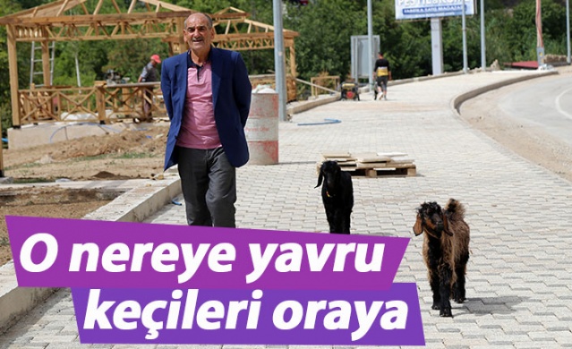 O nereye yavru keçileri oraya 1