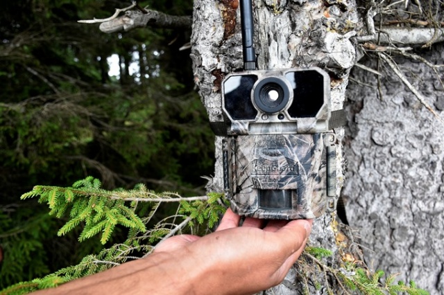 Doğu Karadeniz'in Örümcek Ormanları'nda denetim 2