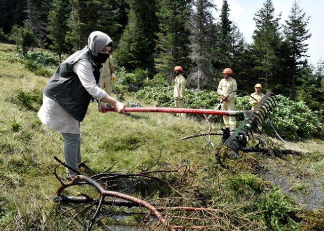 Doğu Karadeniz'in Örümcek Ormanları'nda denetim 10