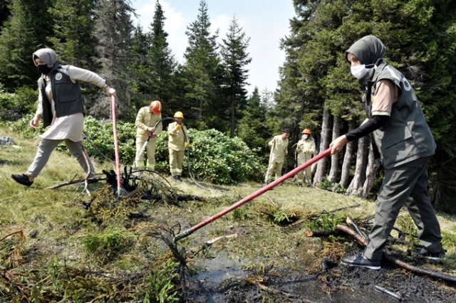 Doğu Karadeniz'in Örümcek Ormanları'nda denetim 3