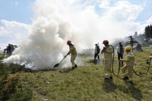 Doğu Karadeniz'in Örümcek Ormanları'nda denetim 4