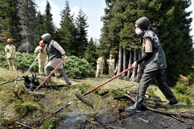 Doğu Karadeniz'in Örümcek Ormanları'nda denetim 25