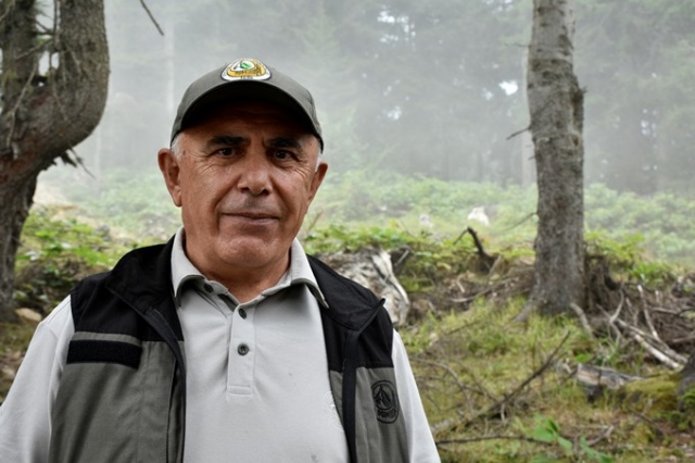 Doğu Karadeniz'in Örümcek Ormanları'nda denetim 15