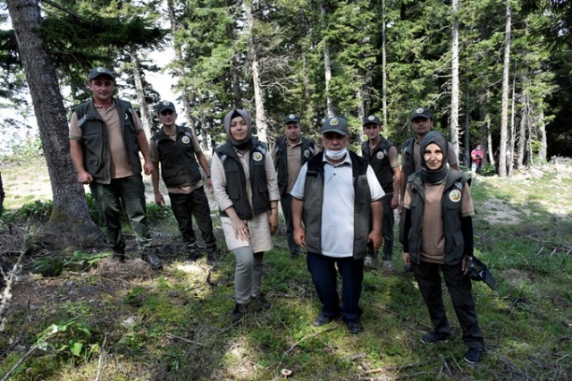 Doğu Karadeniz'in Örümcek Ormanları'nda denetim 19