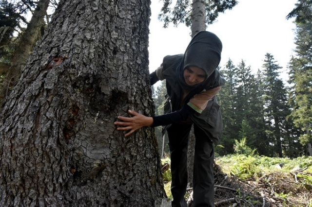 Doğu Karadeniz'in Örümcek Ormanları'nda denetim 23