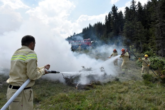 Doğu Karadeniz'in Örümcek Ormanları'nda denetim 20
