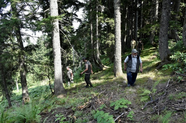 Doğu Karadeniz'in Örümcek Ormanları'nda denetim 16