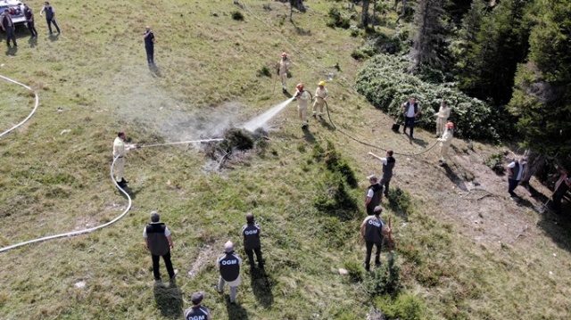 Doğu Karadeniz'in Örümcek Ormanları'nda denetim 21