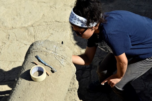 Karadeniz'deki kazılarda 5 bin yıllık tarih bulundu 4