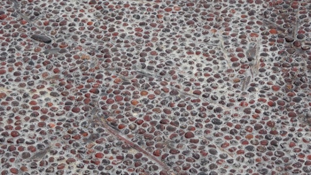 Karadeniz'de sağanak felaketi! Kurusun diye bırakılan fındıklar... 8