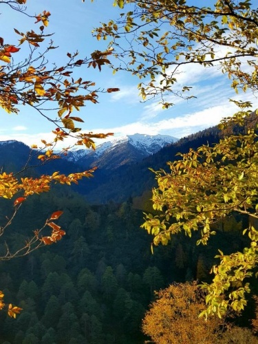 Karadeniz dağlarına kar yağdı ortaya kartpostallık manzaralar çıktı 3