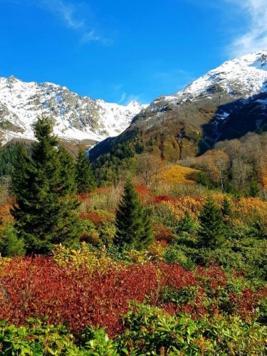 Karadeniz dağlarına kar yağdı ortaya kartpostallık manzaralar çıktı 4