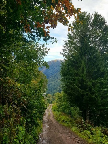 Karadeniz dağlarına kar yağdı ortaya kartpostallık manzaralar çıktı 7