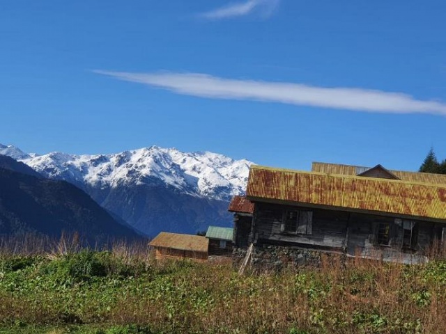 Karadeniz'de kar yüzünü gösterdi yaylacıların köylere dönüşü başladı 5