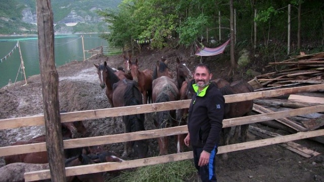 Tırda ölüme terk edilen atlara kapılarını açtı 2