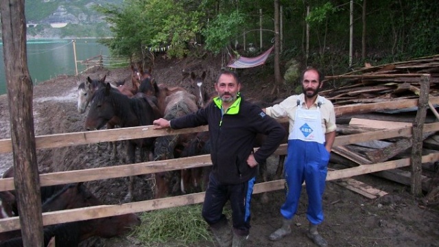 Tırda ölüme terk edilen atlara kapılarını açtı 10