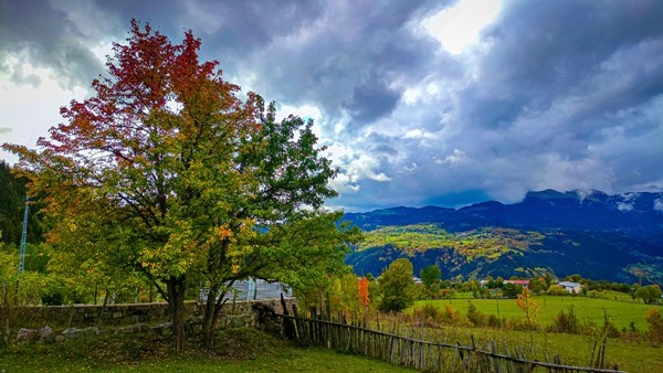 Sonbaharın gelişi ile sakin şehir Şavşat’ta renk cümbüşü başladı 2