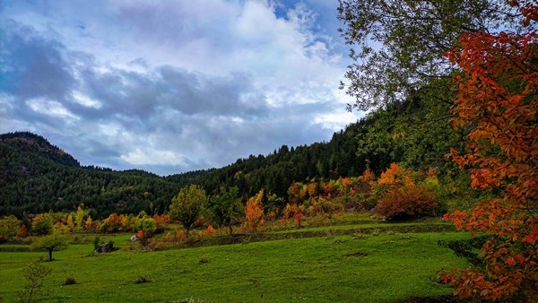 Sonbaharın gelişi ile sakin şehir Şavşat’ta renk cümbüşü başladı 3