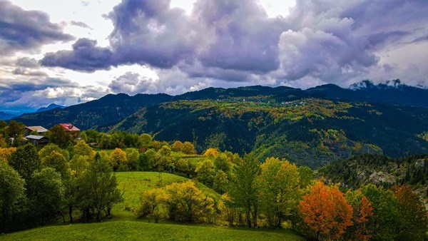 Sonbaharın gelişi ile sakin şehir Şavşat’ta renk cümbüşü başladı 4